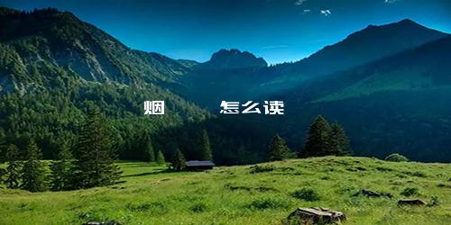 烟酰胺 怎么读